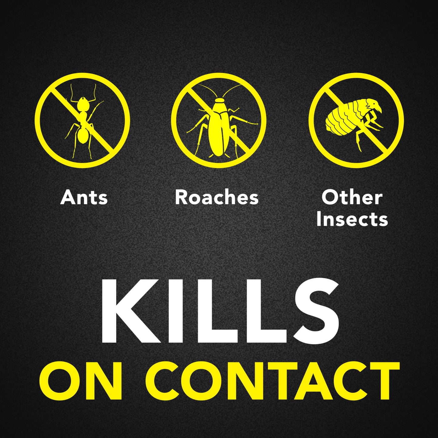 Ant & Roach Killer Spray, 17.5 oz, 2 Pack – Fragrance Free, Kills on Contact