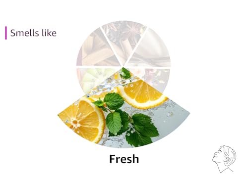 Scented Oil Refills, Fresh Waters – 10 Pack