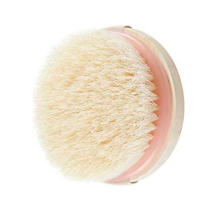 EcoTools Dry Body Brush, 1 Count