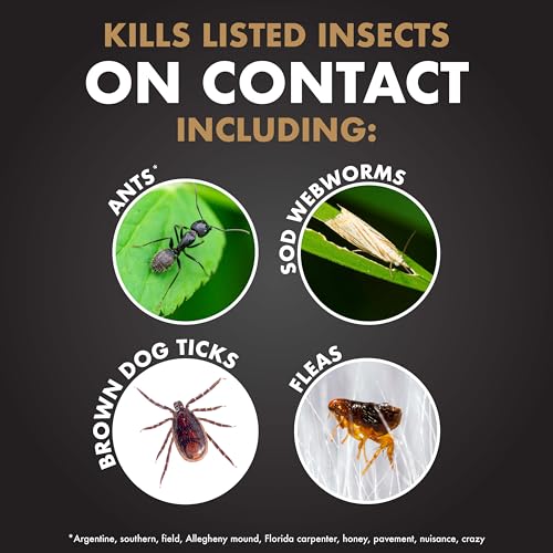 Fungus & Insect Control for Lawns, 32 oz – Dual Action Hose-End Spray