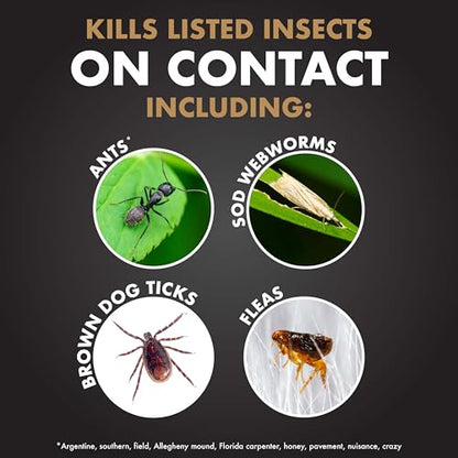 Fungus & Insect Control for Lawns, 32 oz – Dual Action Hose-End Spray