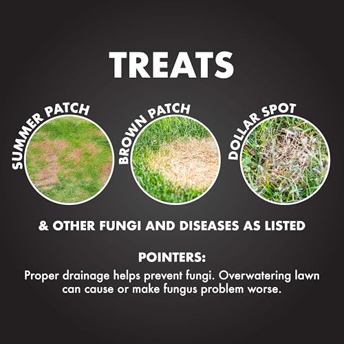 Fungus & Insect Control for Lawns, 32 oz – Dual Action Hose-End Spray