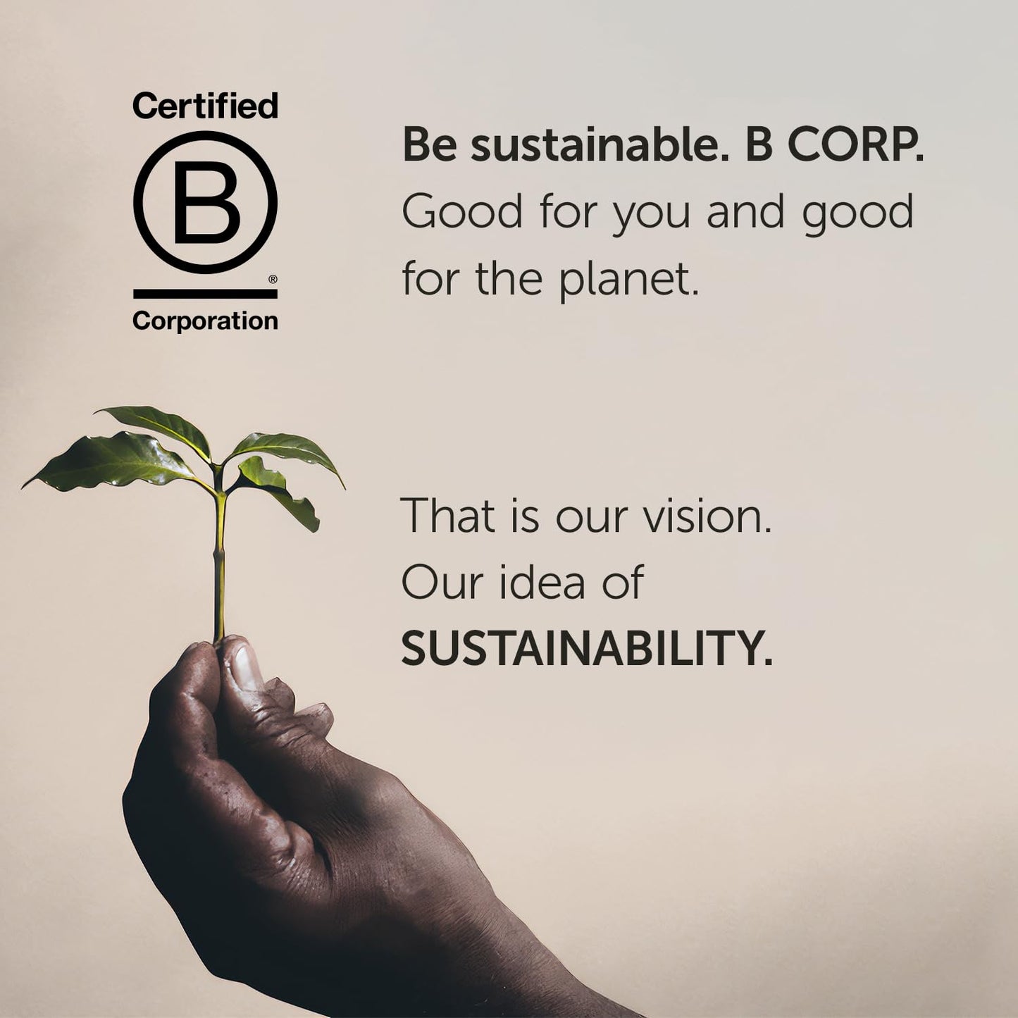 illy Cold Brew Coffee 8.5oz Cans – 12 Pack