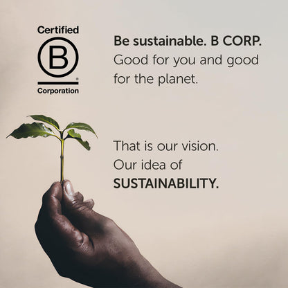 illy Cold Brew Coffee 8.5oz Cans – 12 Pack