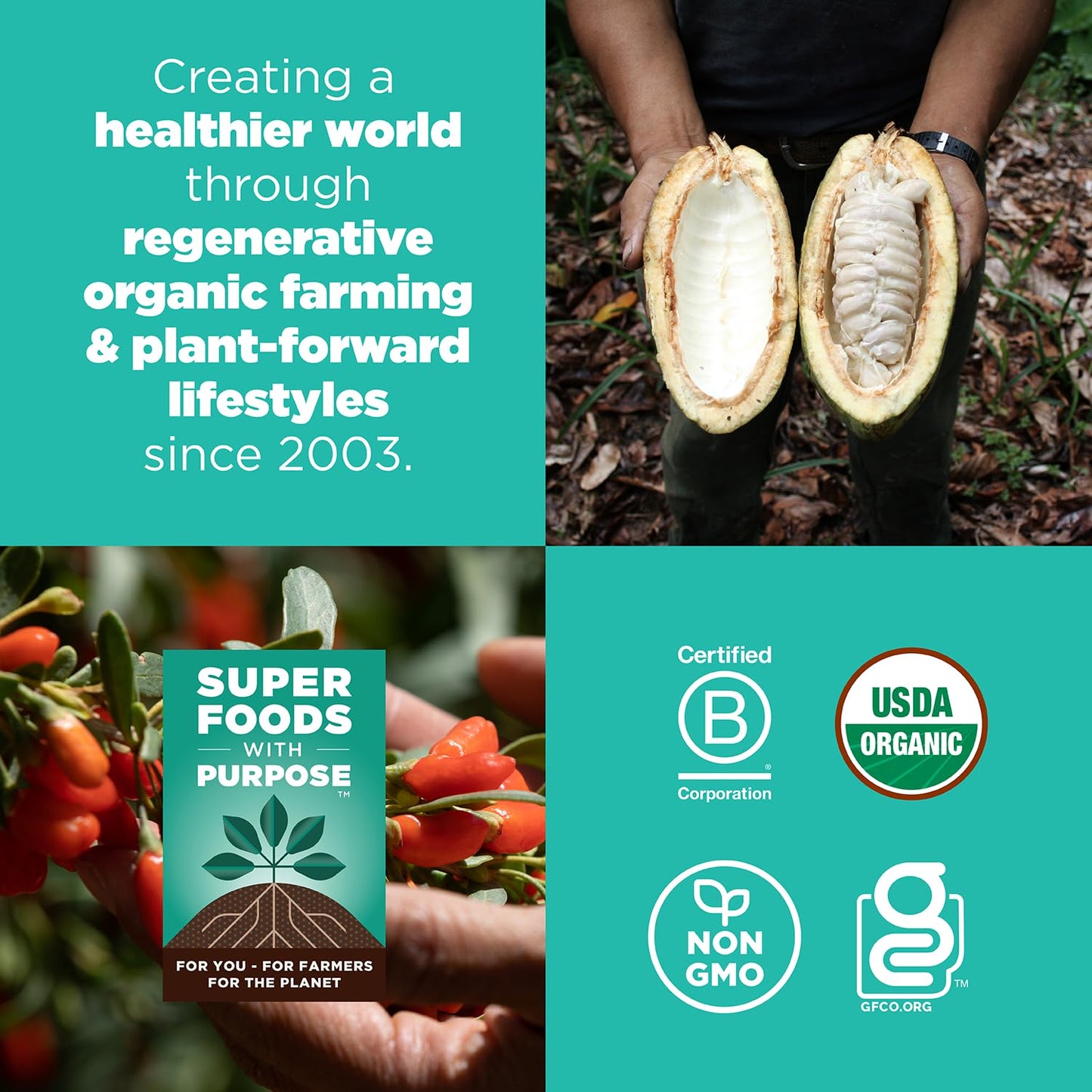 Navitas Organics Superfood Power Snacks Cacao Goji 8oz