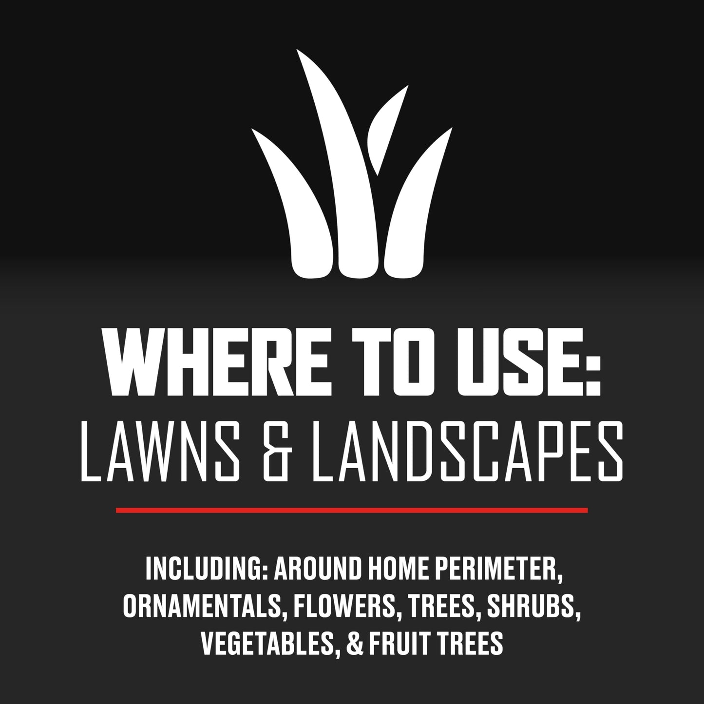 Insect Killer for Lawns & Landscapes, 32 oz – Kills Ants, Ticks, Mosquitoes & More