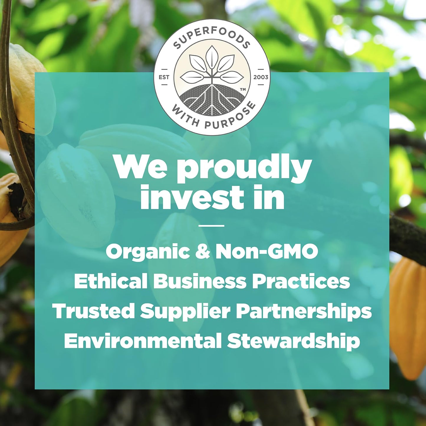 Navitas Organics Superfood Power Snacks Cacao Goji 8oz