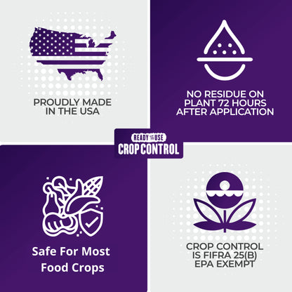 Natural Pesticide & Fungicide Spray, 32 oz – Controls Mites, Mildew & Mold