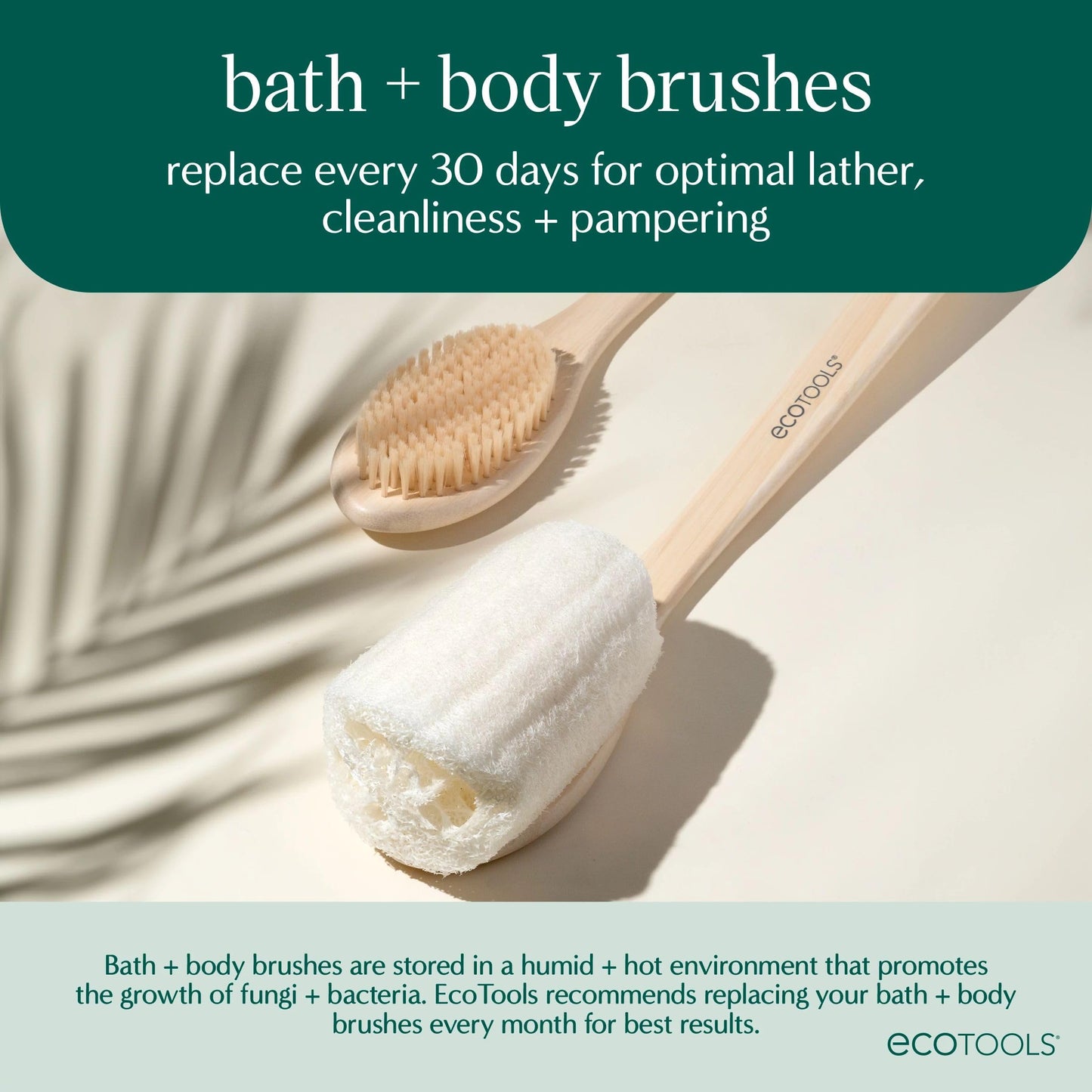 EcoTools Dry Body Brush, 1 Count