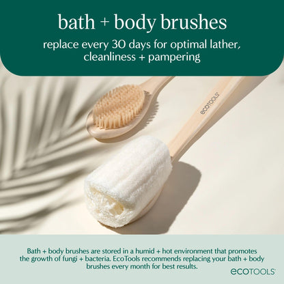 EcoTools Dry Body Brush, 1 Count