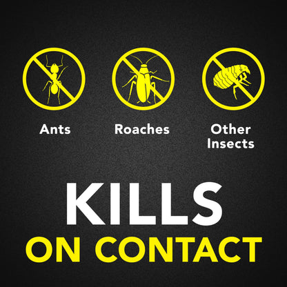 Ant & Roach Killer Spray, 17.5 oz, 2 Pack – Fragrance Free, Kills on Contact
