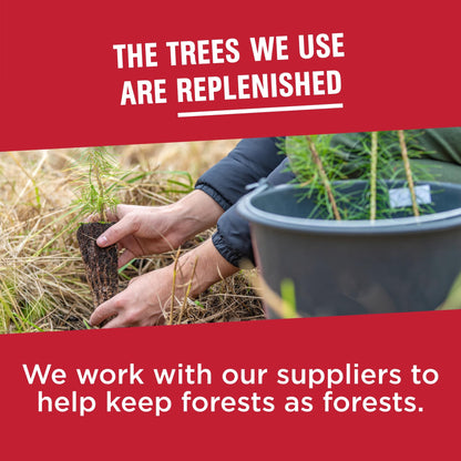 Vanity Fair Everyday Napkins 100 Count – Soft Disposable