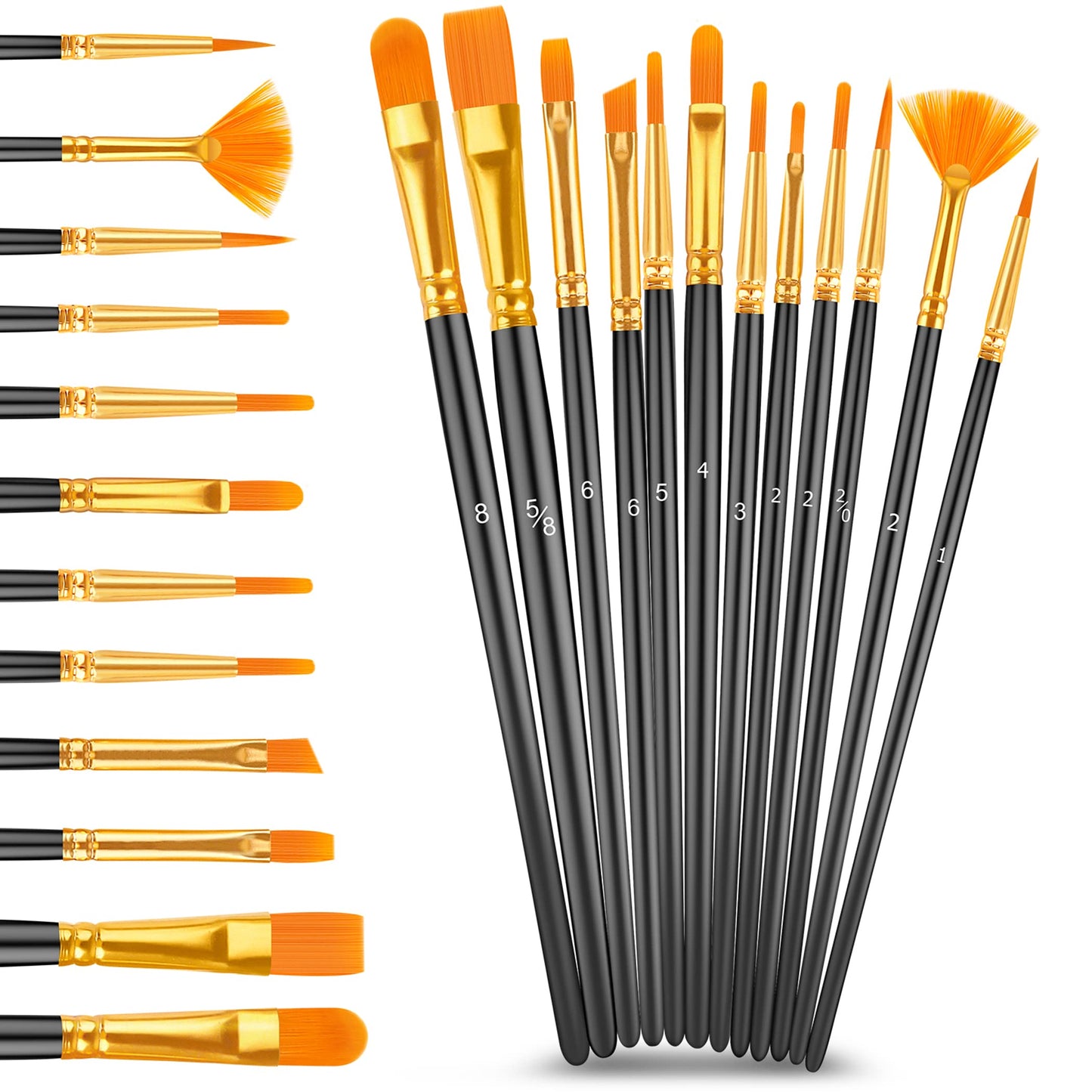 Caliart 24 Acrylic Paint Set with 12 Brushes for Crafts