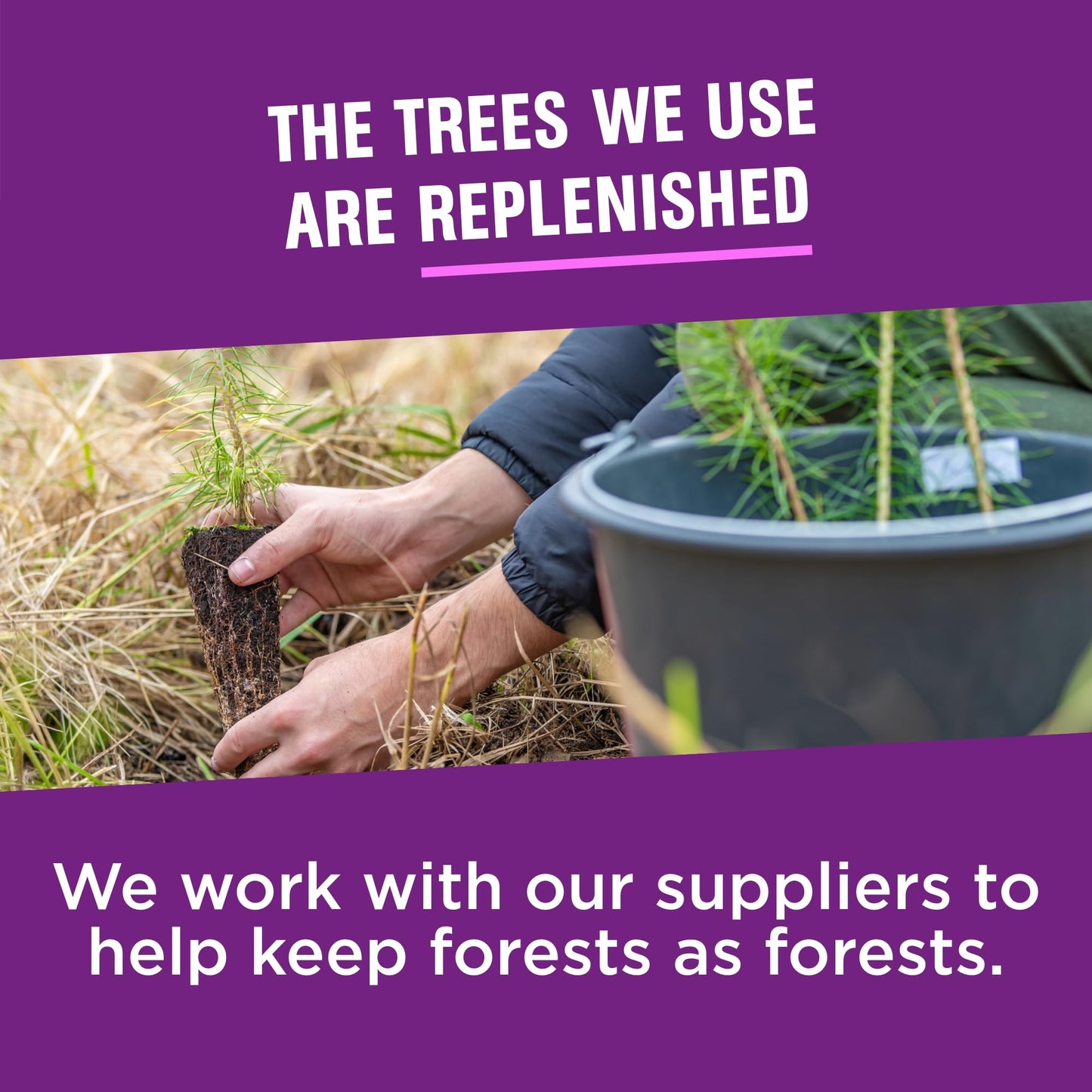 Vanity Fair Premium Napkins 960 Count – Extra Absorbent