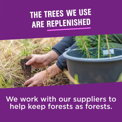 Vanity Fair Premium Napkins 960 Count – Extra Absorbent