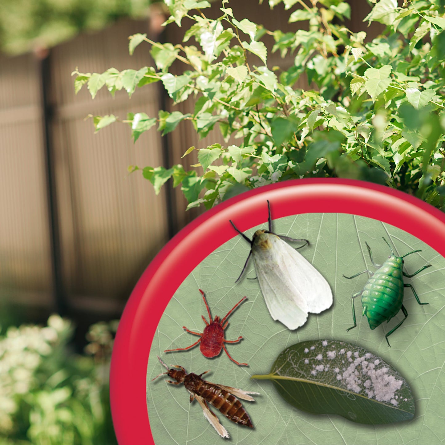 Insecticidal Soap Spray, 32 oz – Multi-Purpose Organic Garden Insect Control