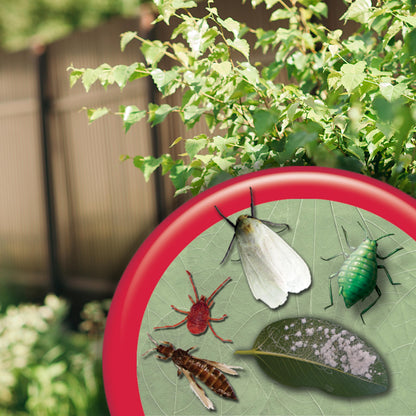 Insecticidal Soap Spray, 32 oz – Multi-Purpose Organic Garden Insect Control