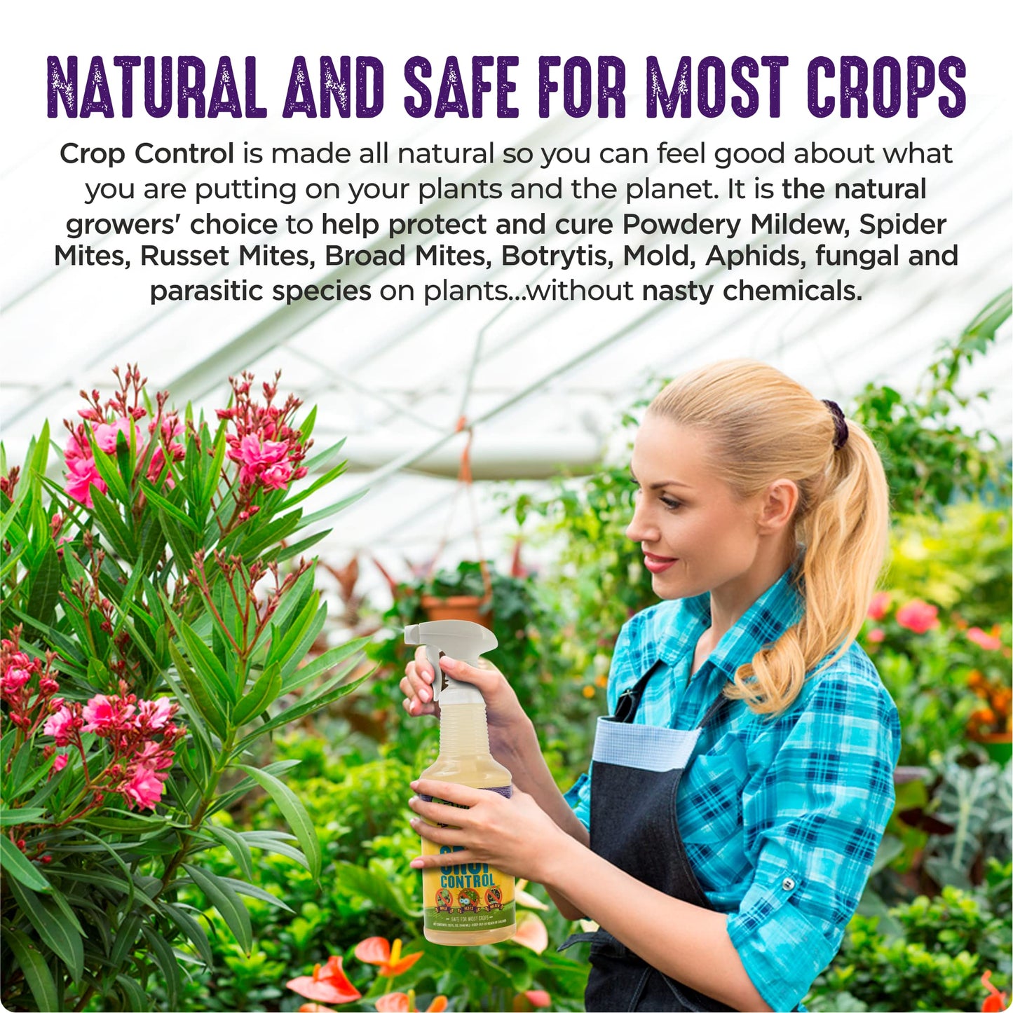 Natural Pesticide & Fungicide Spray, 32 oz – Controls Mites, Mildew & Mold