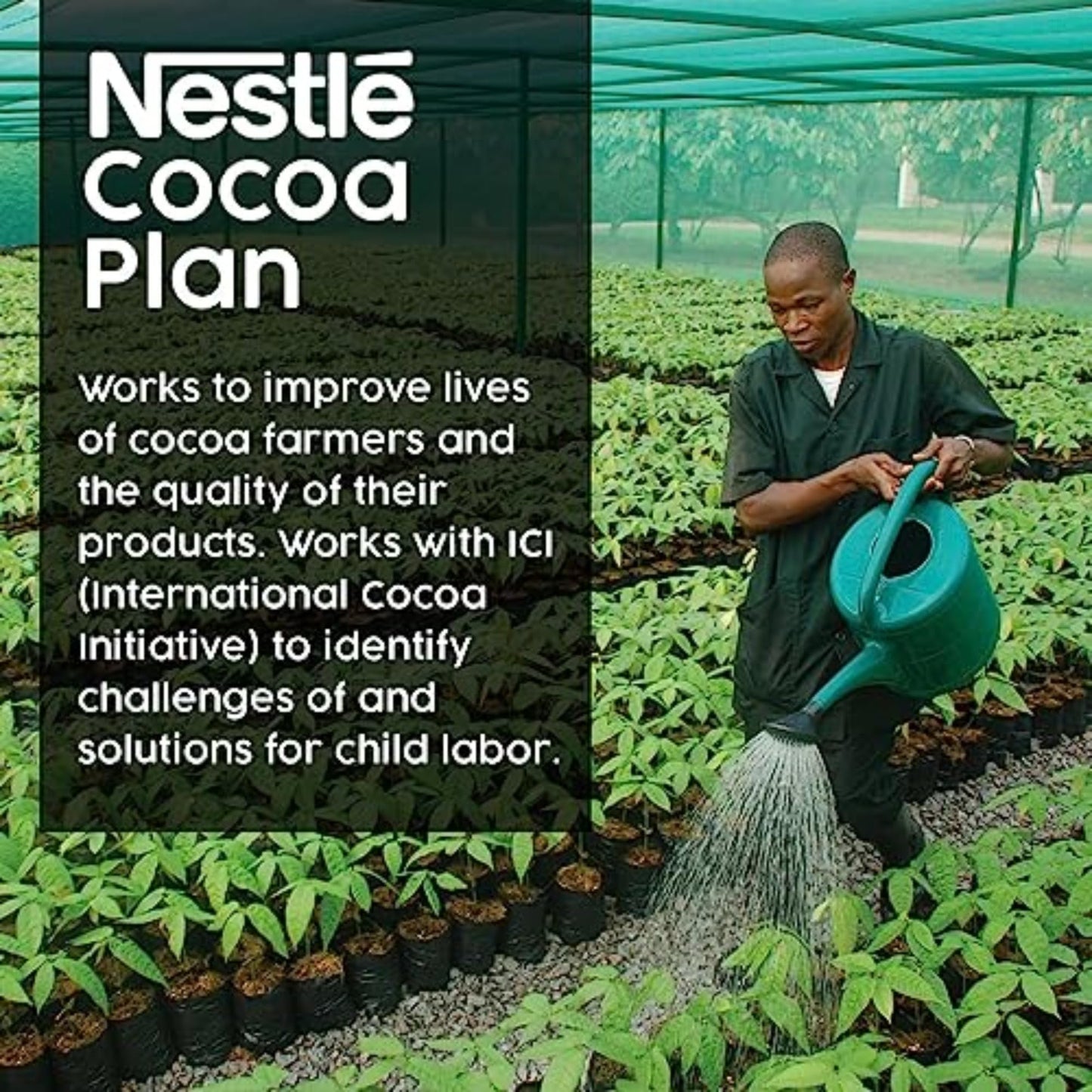 Nestle Rich Chocolate Hot Cocoa Packets, 50 Count