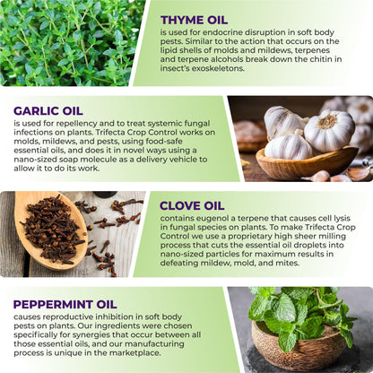 Natural Pesticide & Fungicide Spray, 32 oz – Controls Mites, Mildew & Mold