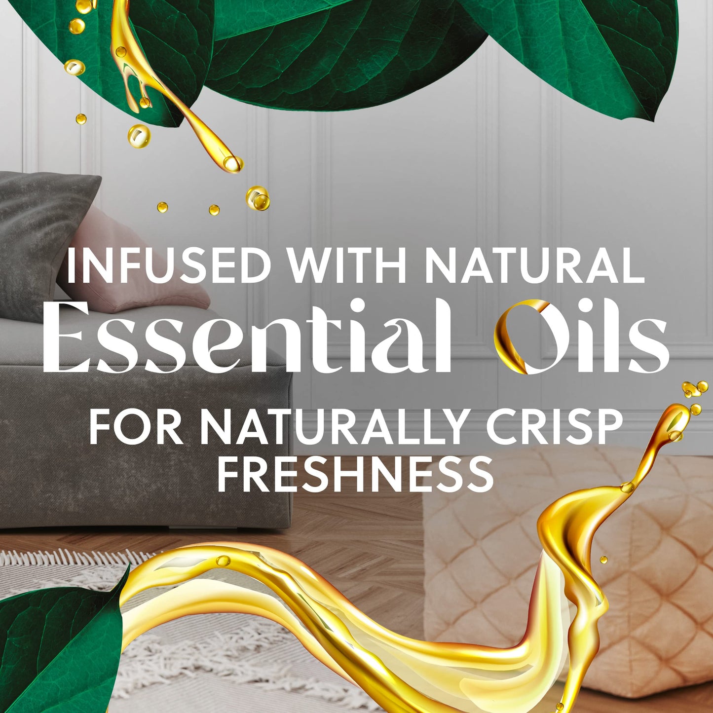 Scented Oil Refills, Fresh Waters – 10 Pack