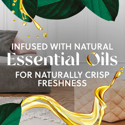 Scented Oil Refills, Fresh Waters – 10 Pack