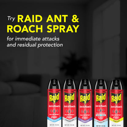 Ant & Roach Killer Spray, 17.5 oz, 2 Pack – Fragrance Free, Kills on Contact