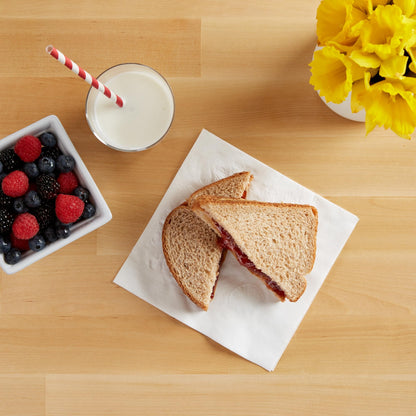 Vanity Fair Everyday Napkins 100 Count – Soft Disposable