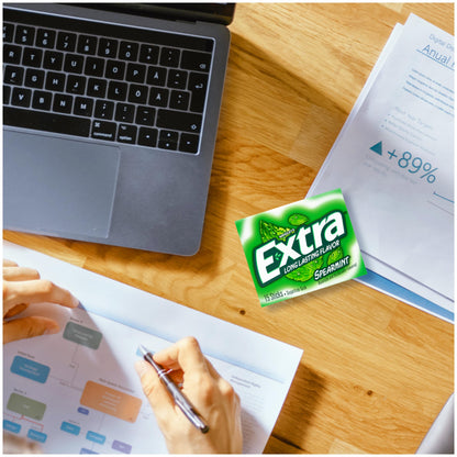 Extra Spearmint Sugar-Free Gum 10 Pack – 15 Count Each
