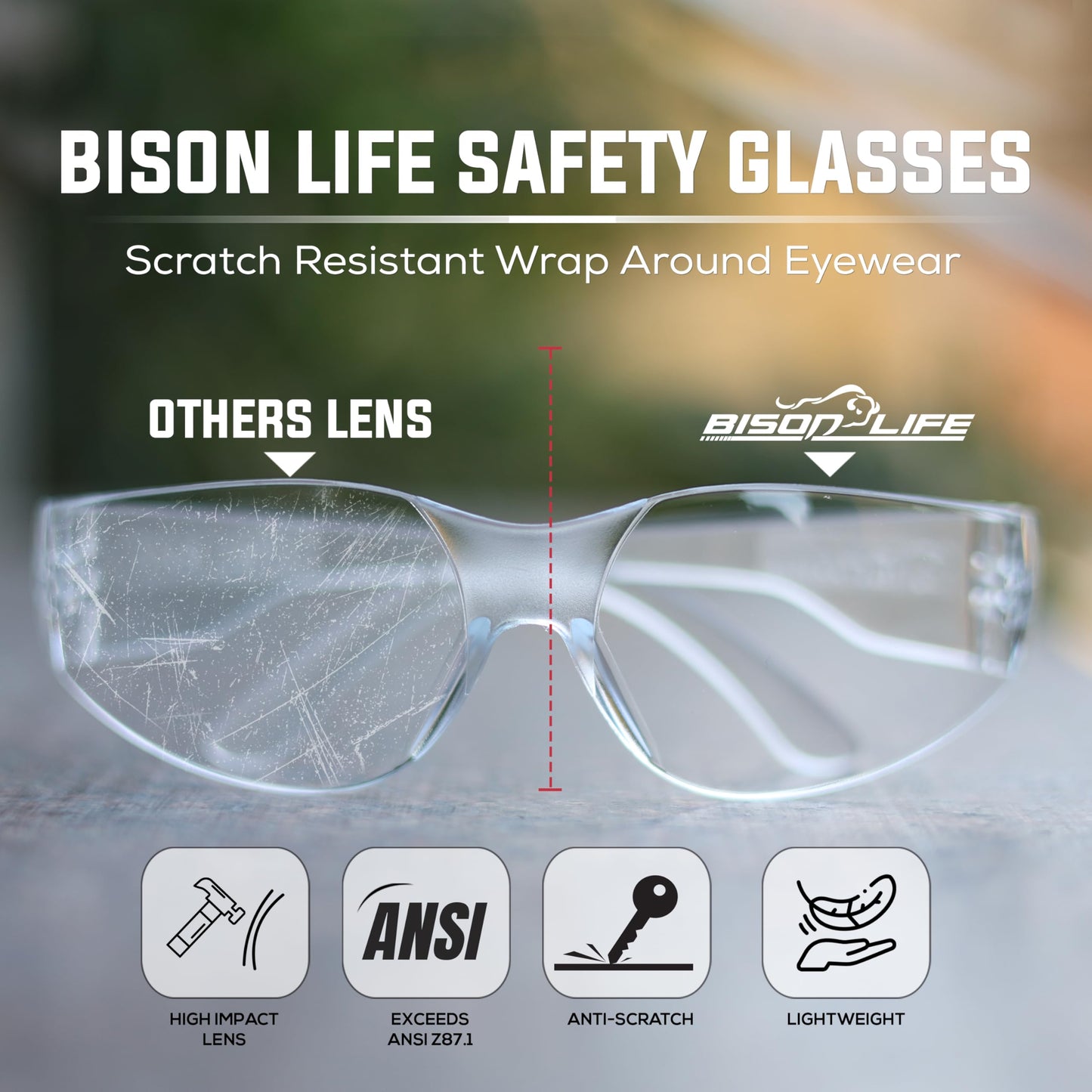BISON LIFE Clear Safety Glasses – 12 Pack Box