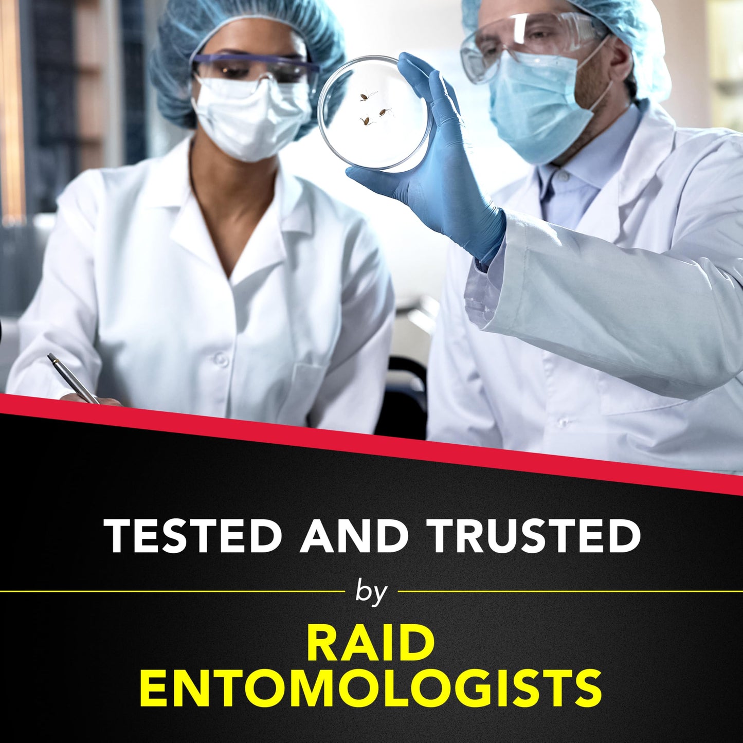 Ant & Roach Killer Spray, 17.5 oz, 2 Pack – Fragrance Free, Kills on Contact