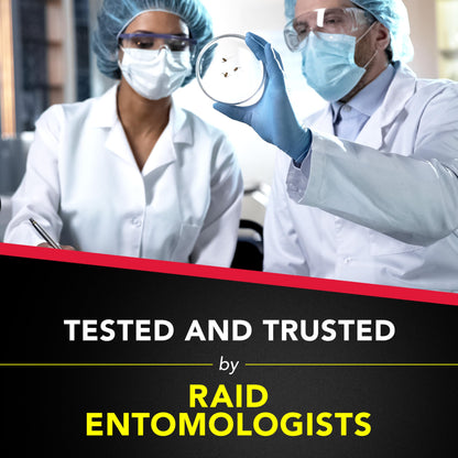 Ant & Roach Killer Spray, 17.5 oz, 2 Pack – Fragrance Free, Kills on Contact