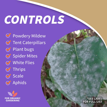 Insecticidal Soap Spray, 32 oz – Multi-Purpose Organic Garden Insect Control