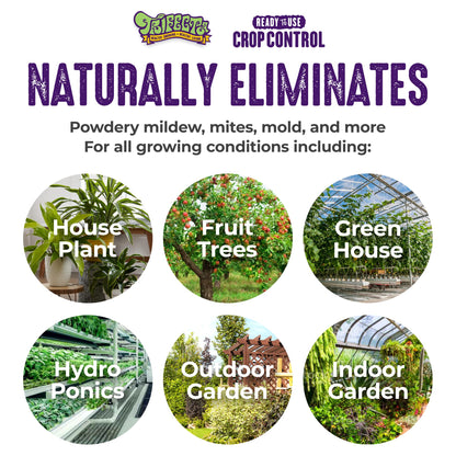 Natural Pesticide & Fungicide Spray, 32 oz – Controls Mites, Mildew & Mold