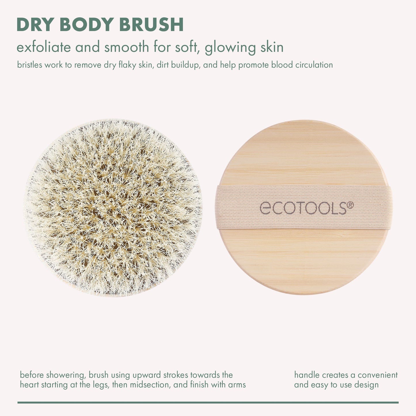 EcoTools Dry Body Brush, 1 Count