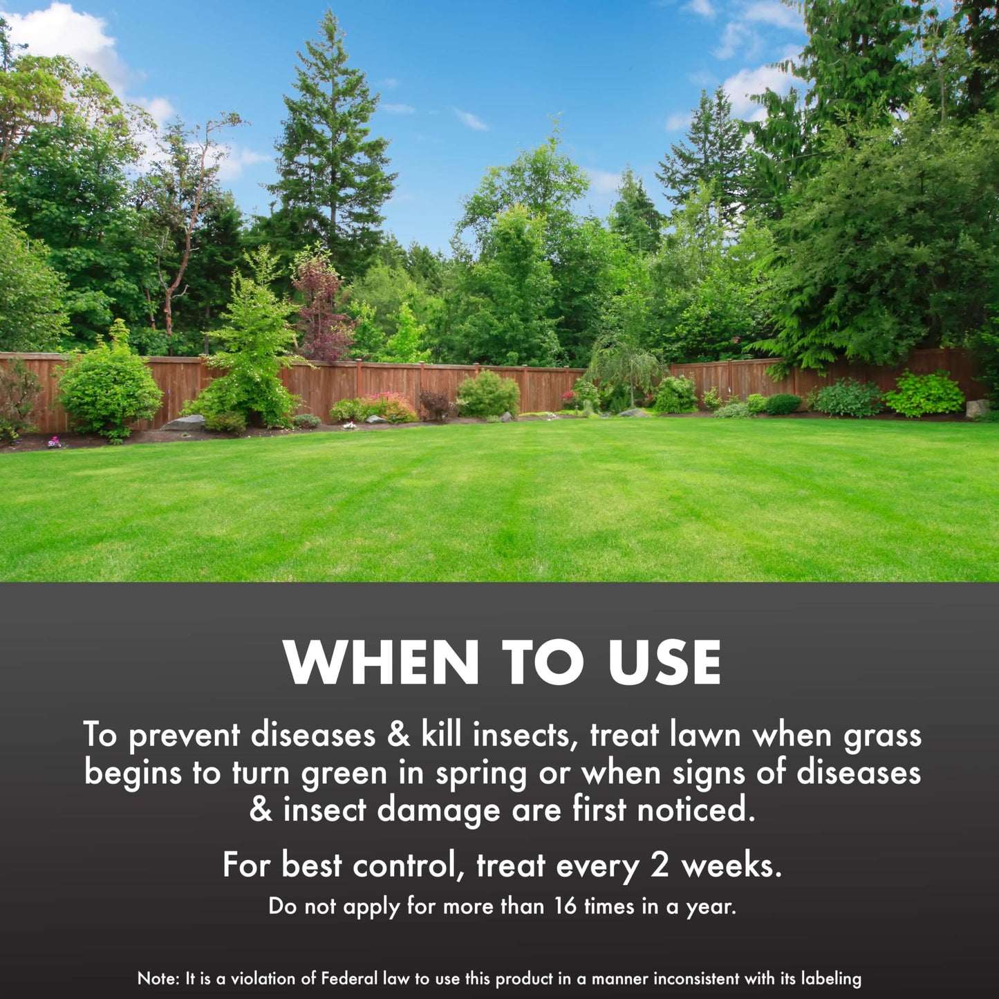 Fungus & Insect Control for Lawns, 32 oz – Dual Action Hose-End Spray