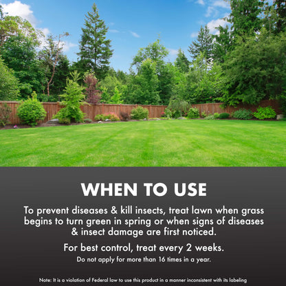 Fungus & Insect Control for Lawns, 32 oz – Dual Action Hose-End Spray