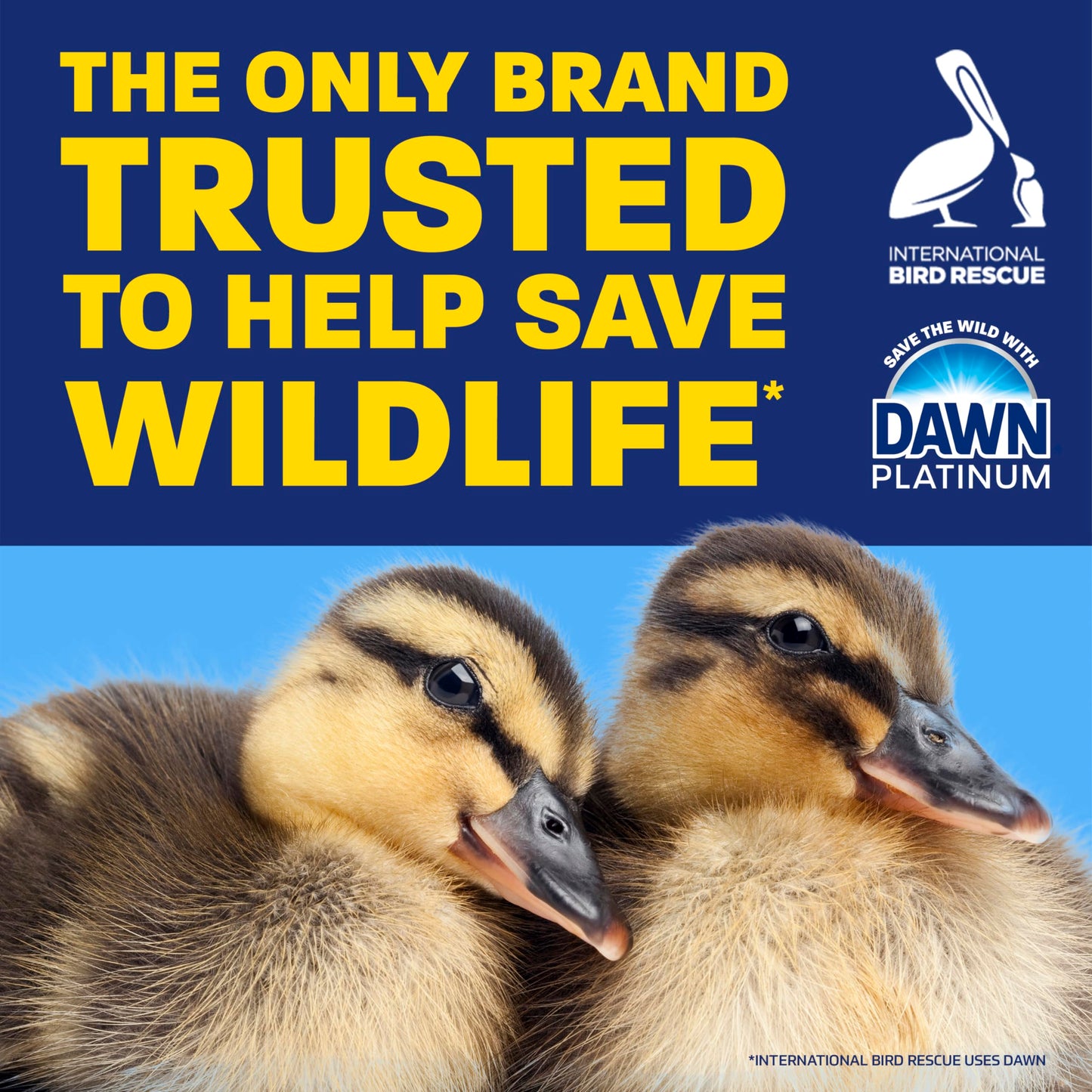 Dawn Platinum Dish Soap, Fresh Rain, 54.8 oz, 2 Pack