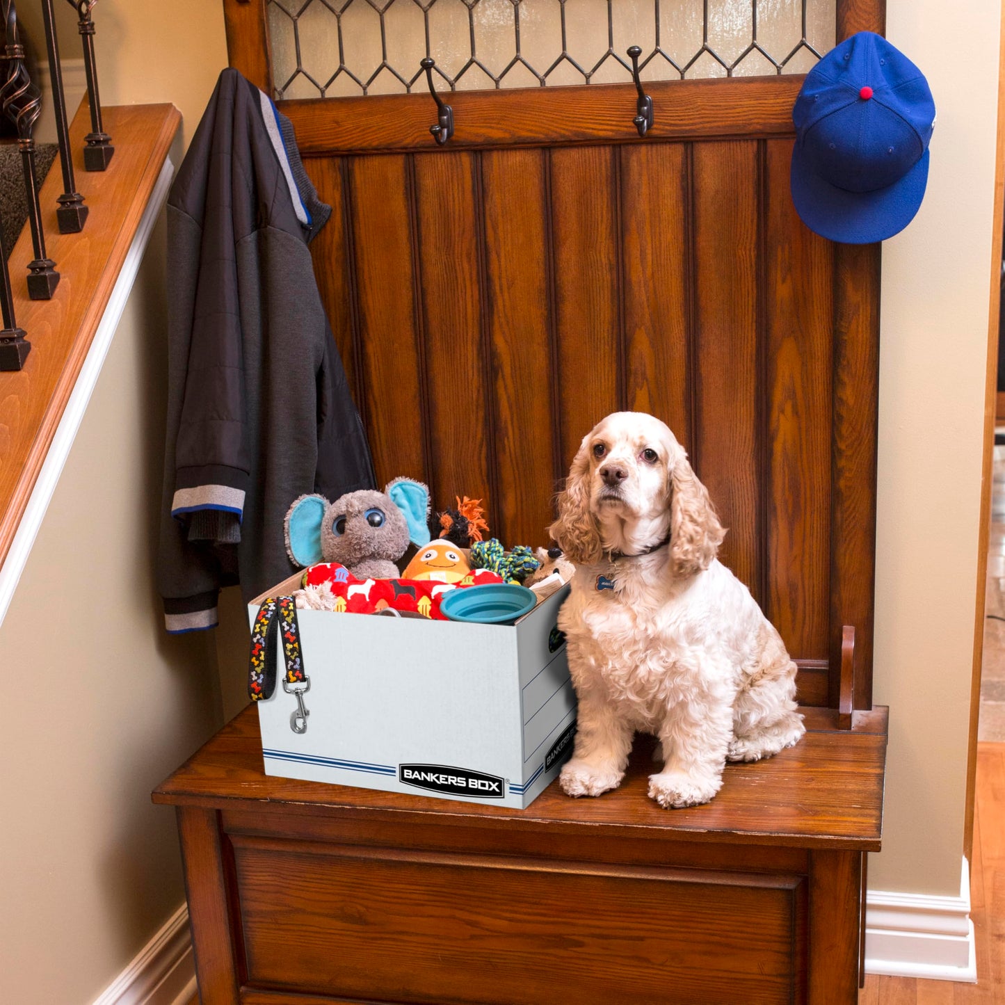 Bankers Box 12-Pack File Storage Boxes with Lids – Letter/Legal