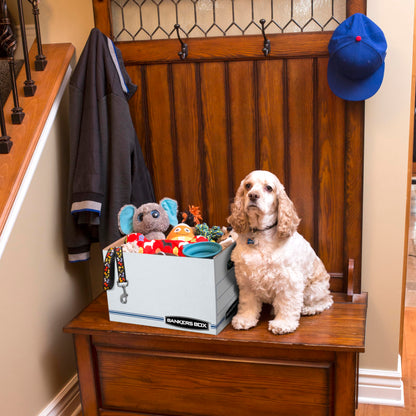 Bankers Box 12-Pack File Storage Boxes with Lids – Letter/Legal