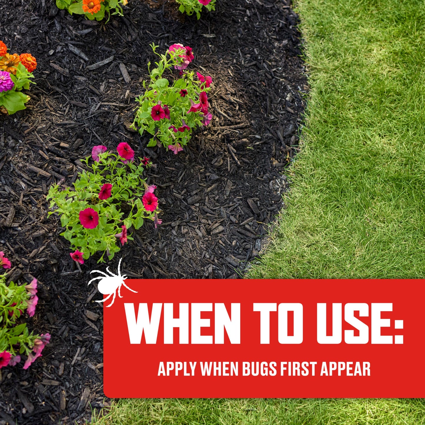 Insect Killer for Lawns & Landscapes, 32 oz – Kills Ants, Ticks, Mosquitoes & More