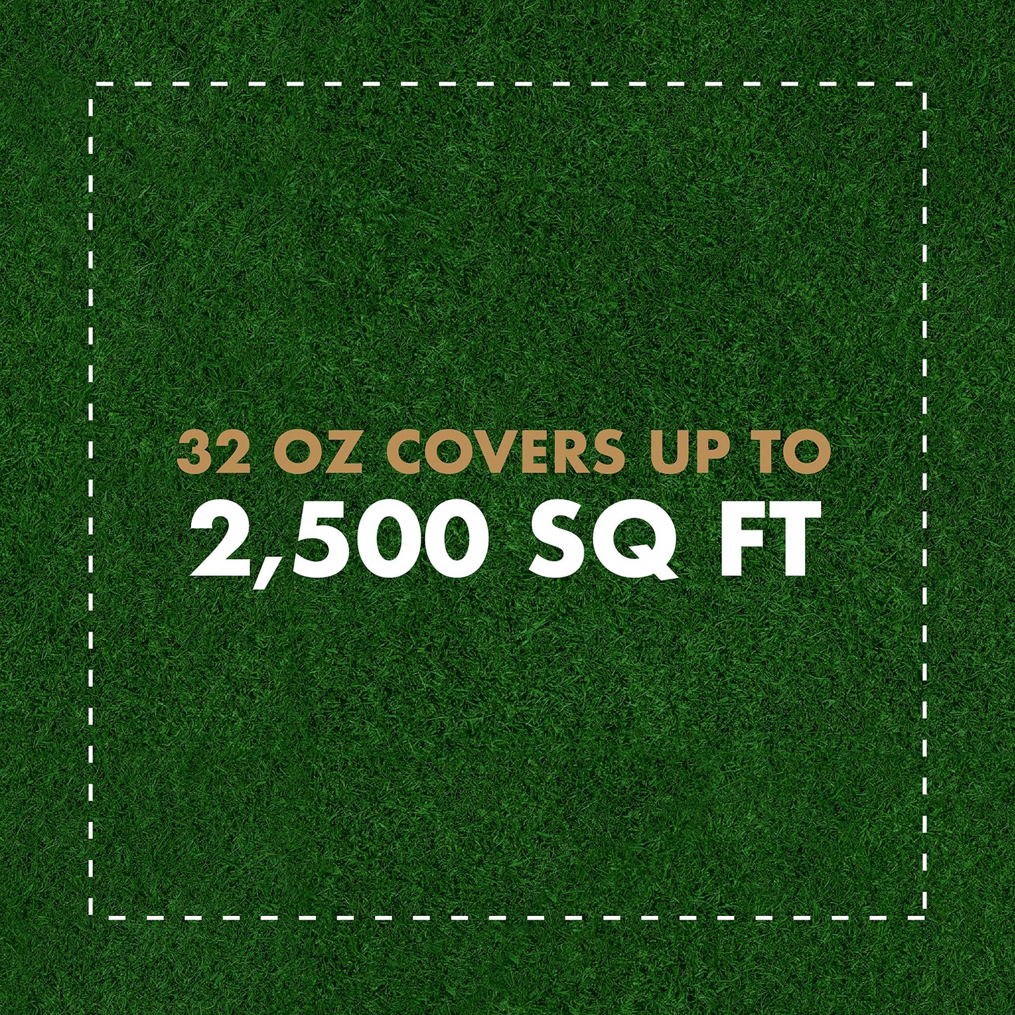 Fungus & Insect Control for Lawns, 32 oz – Dual Action Hose-End Spray