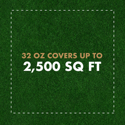 Fungus & Insect Control for Lawns, 32 oz – Dual Action Hose-End Spray